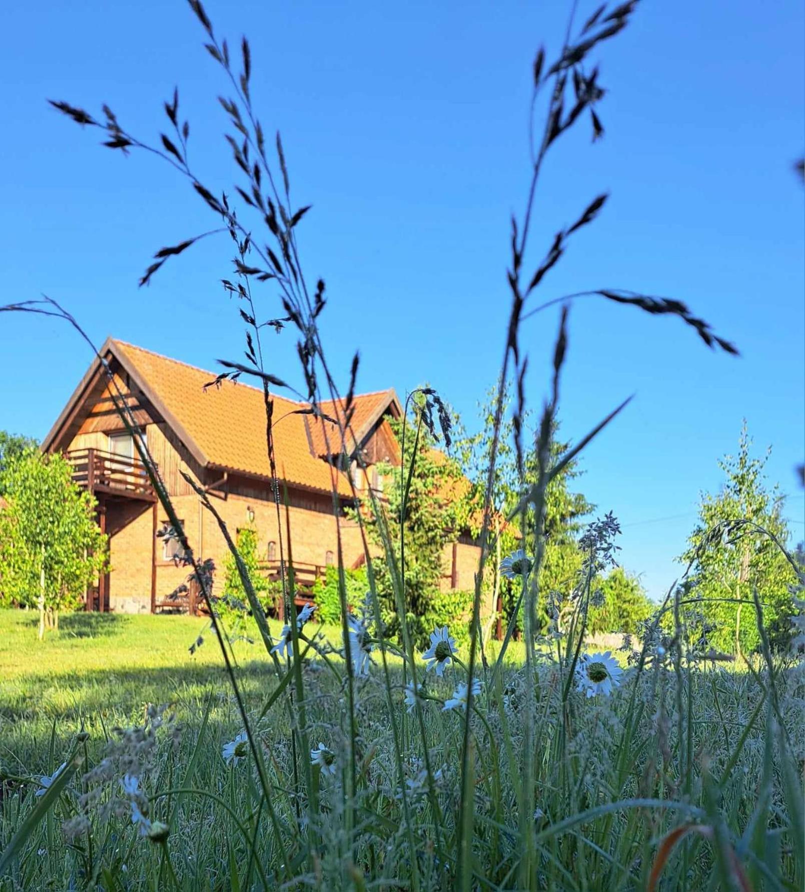 Villa Kumaczowka Mazury à Ruciane-Nida Extérieur photo